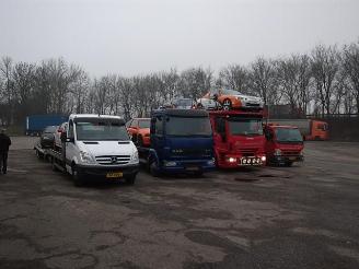 Salvage car Dacia Lodgy  2013/1