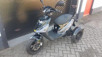 krockskadad bil bromfiets PGO  PGO driewielscooter 2012/1